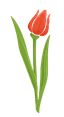 divider