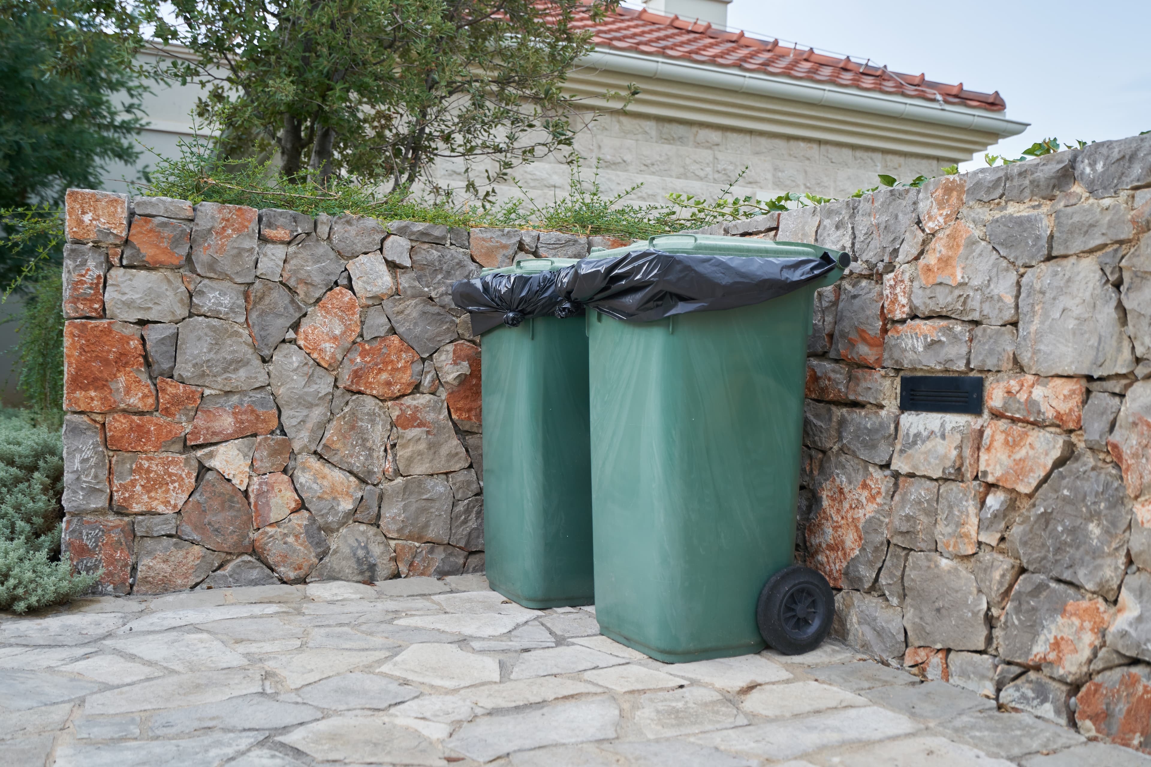 Green garbage cans next to the house on back yard.
